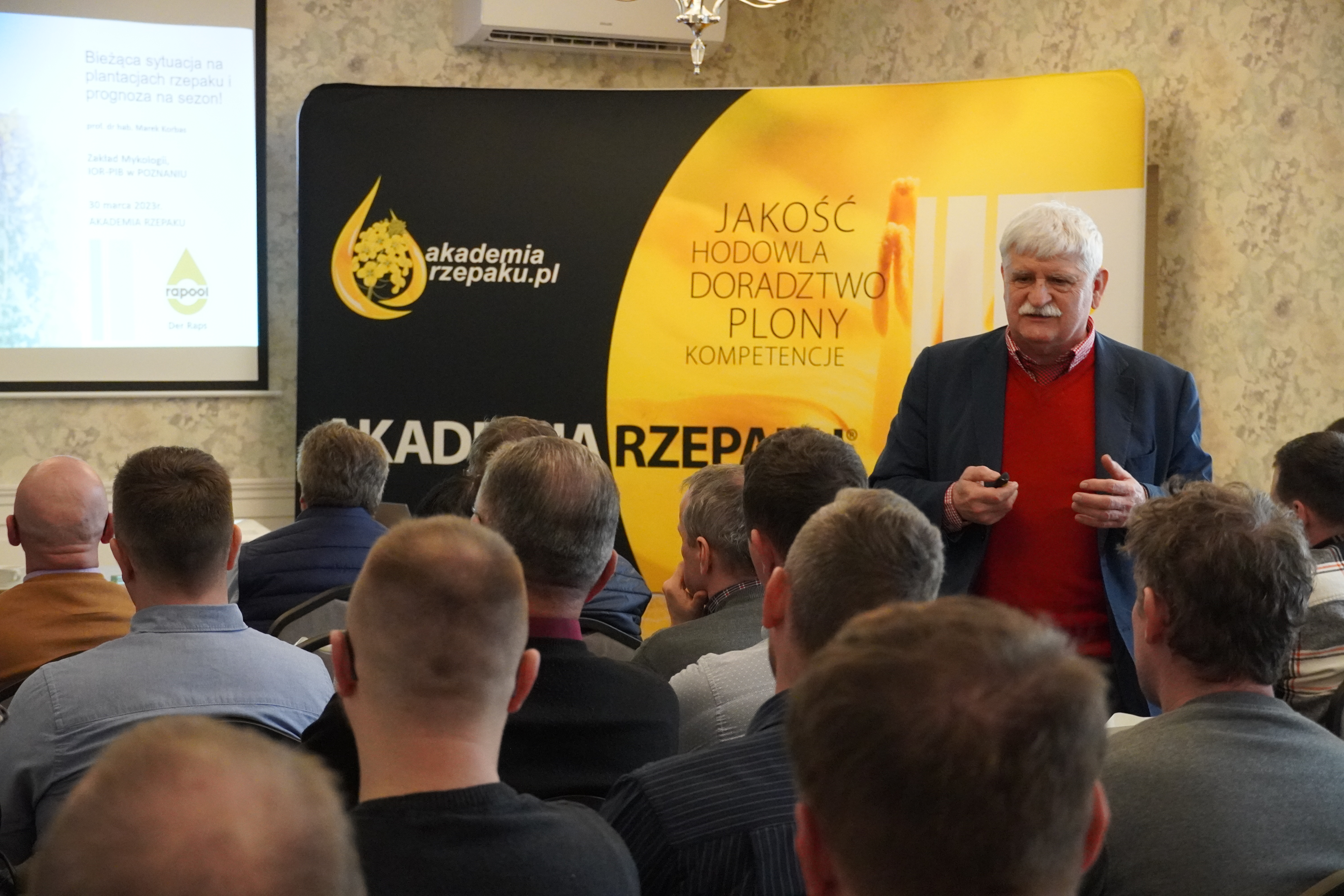 Rzepak. Bieżąca sytuacja, zalecenia ochrony fungicydowej i przed szkodnikami