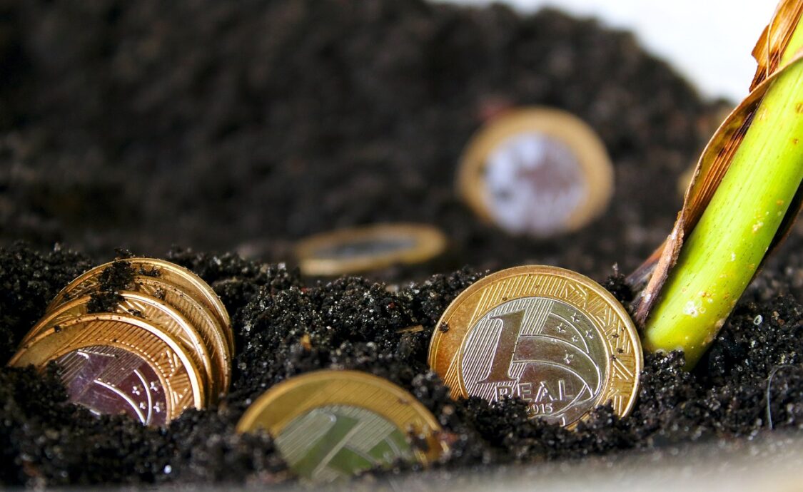 real, money, brazilian money, financial education, financial education, financial education, financial education, financial education, financial education