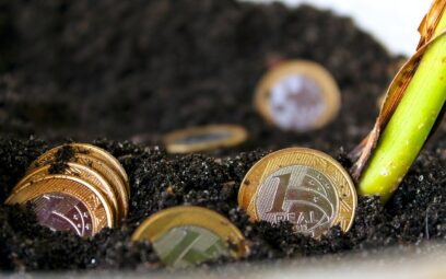 real, money, brazilian money, financial education, financial education, financial education, financial education, financial education, financial education