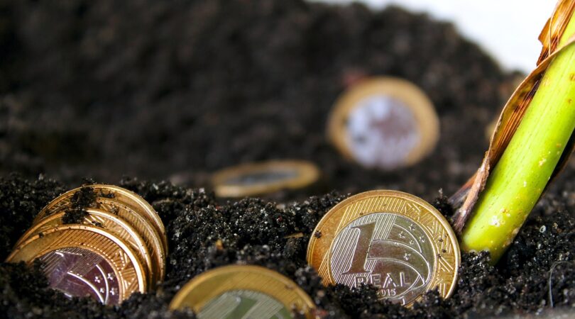 real, money, brazilian money, financial education, financial education, financial education, financial education, financial education, financial education