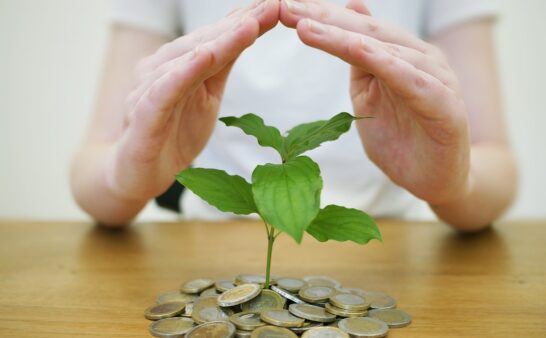 money back up, save money, save up, bank, coins, business, invest, wealth, finance, currency, bust, income, profit, money, investments, save money, save money, invest, invest, invest, invest, invest, wealth, income, income, income, income, money