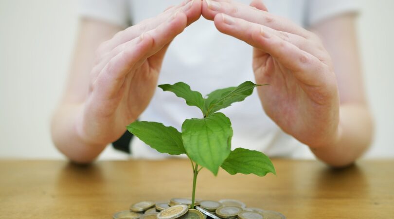 money back up, save money, save up, bank, coins, business, invest, wealth, finance, currency, bust, income, profit, money, investments, save money, save money, invest, invest, invest, invest, invest, wealth, income, income, income, income, money