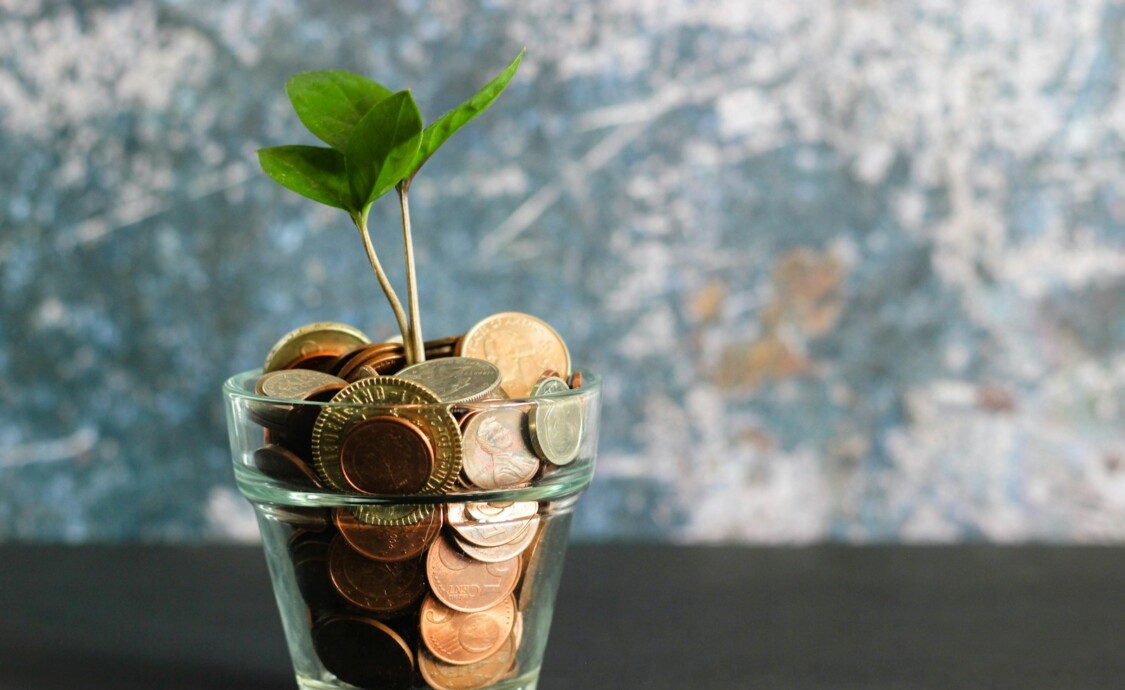 green plant in clear glass vase