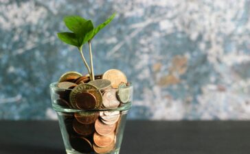 green plant in clear glass vase