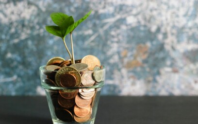 green plant in clear glass vase